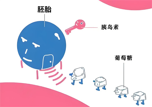 患多囊卵巢，做试管婴儿前补充维生素D竟然有这些好处！