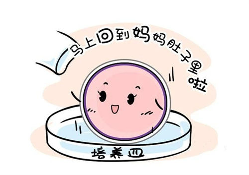 做试管婴儿，我能挑个 “黄道吉日” 移植胚胎吗？