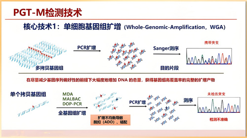 WHO启动新式全球糖尿病监测框架，这类群体能做试管婴儿吗？
