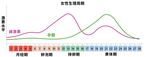 「性激素六项」检测时间暗藏玄机？！4个关键信息，不知道你就白做了！