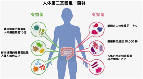 几乎所有宫腔内膜疾病都与“它”有关？！不解决，治疗效果打折扣！