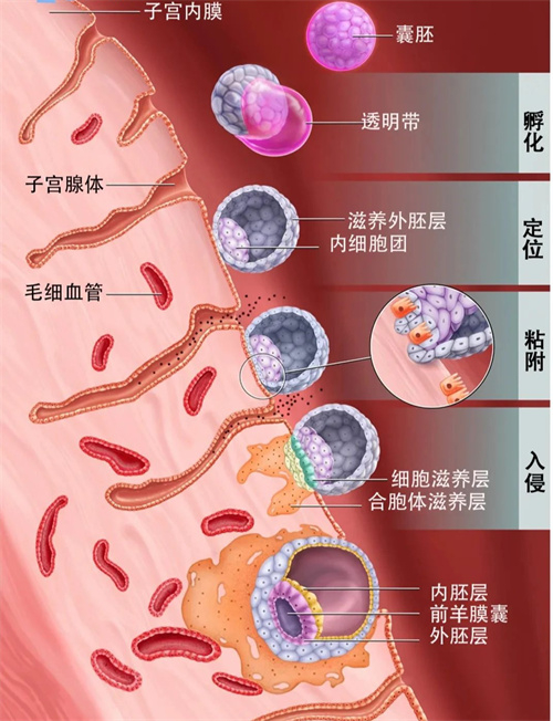 反复种植失败终于锁定凶手！两个办法最有效