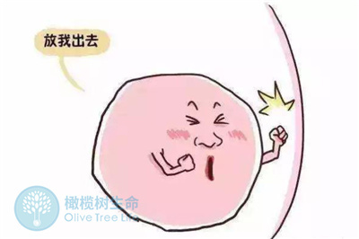 备孕人减重需要避开这3个坑！别让错误方法毁了你的好孕计划！