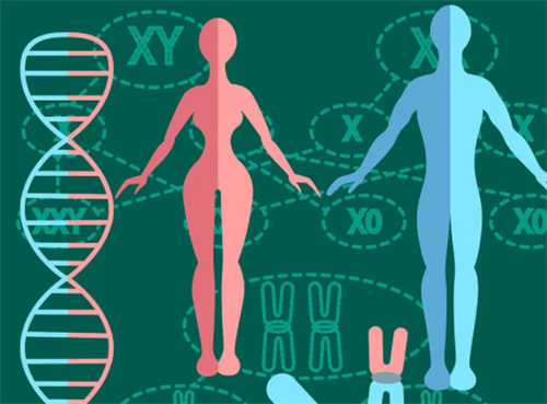 试管婴儿科普：怀孕时为什么会出现胎停的现象？