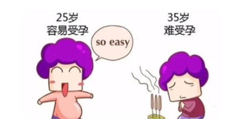 从40岁王冕试管胎停事件，读懂高龄备孕的真相！