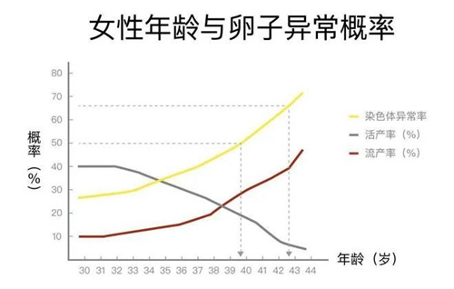 从40岁王冕试管胎停事件，读懂高龄备孕的真相！