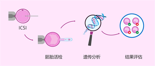 正常精子千篇一律，畸形精子各有各的丑！