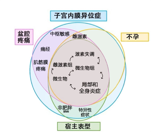 近28万人数据：Ta堪称「生育力第一杀手」，5步治疗终身获益！