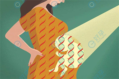 试管婴儿科普：多次胎停，怎样提高怀孕几率？