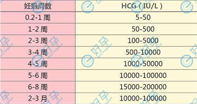 试管婴儿移植后，血HCG值能否检测宫外孕？