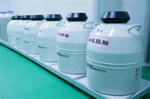 鲜胚和冻胚，谁才是「胚胎王者」？