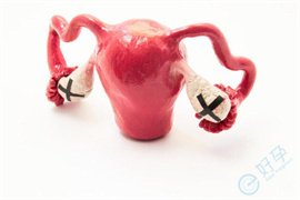 别等卵巢彻底“罢工”！卵泡早发3大拯救方案，第2种安全又高效！