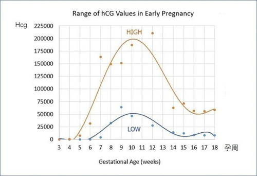 hCG、孕酮、雌二醇低就会胎停、流产？保胎到底看哪个？