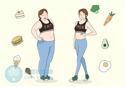高糖饮食对试管成功率的影响有哪些？做试管期间该如何改善？