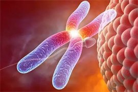 被传为有“恶魔基因”的超雄综合征能被试管PGT技术排除吗？