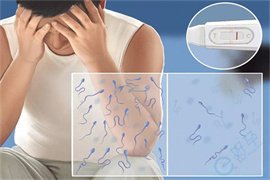 精子活力低怎么办？试管婴儿如何提高受精率？科学破解男性生育难题