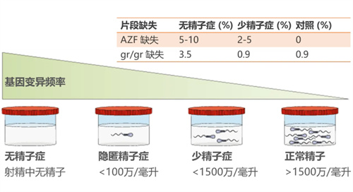 被误解的"不孕"真相：男性因素如何成为好孕路上的隐形关卡？