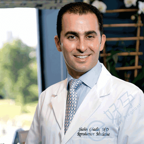 Shahin Ghadir, M.D. 格迪尔医生，医学博士