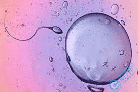 精子碎片率高该怎么办？做试管婴儿有哪些收费？