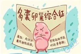 多囊卵巢综合症选择试管婴儿助孕，成功率有多高？