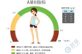 常常听到医生说AHM值，与女性生育力有什么关系呢?