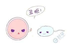 精子畸形意味着胚胎也畸形吗？如何科学调理提高精子质量？