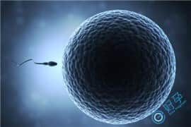 泰国试管婴儿如何解决精子畸形率高的问题？