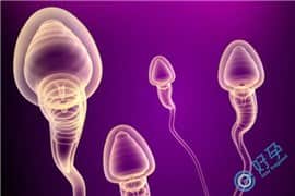 精子活力5%，泰国试管婴儿技术助卵子正常受精