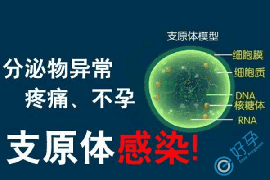 支原体感染对生育的影响，做泰国试管婴儿的可行性分析
