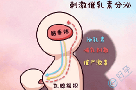 泌乳素过高去泰国做试管婴儿，从三个方面保障成功率