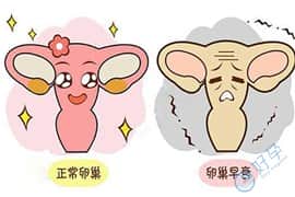 试管婴儿促排卵会加速女性卵巢衰老吗?