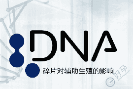 男性精子DNA碎片率高，做试管婴儿如何提高成功率？