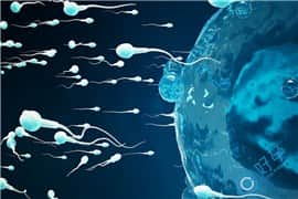 女性抗精子抗体阳性，试管婴儿三个高效方法助好孕