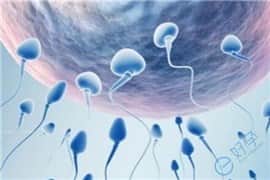 免疫性不孕能做试管婴儿吗？要做哪些检查？
