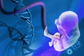 第三代试管婴儿可以避免不健康宝宝的出生吗？