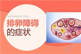 排卵障碍，到底是哪里出了问题？