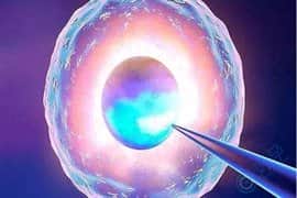 第三代试管婴儿，基因筛查会损害胚胎质量吗？