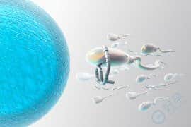 抗精子抗体是什么？去泰国做试管婴儿可行吗？