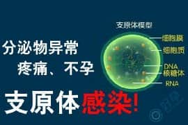 支原体感染阳性会影响做泰国试管婴儿吗