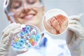 泰国试管婴儿配成的胚胎数量由哪些因素决定？