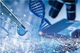 泰国试管婴儿：促黄体生成素的作用及临床意义