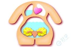 去泰国做试管婴儿会导致腹腔胸腔积液吗？
