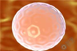 做第三代试管婴儿，养囊出现胚胎质量不好是什么问题？