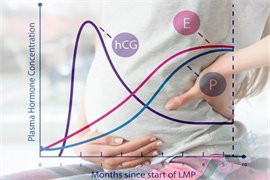 hCG、孕酮、雌二醇低就会胎停、流产？保胎到底看哪个？