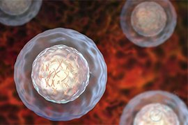 《Nature》新研究揭秘染色体交换机制，PGT技术如何关注胚胎健康起点？