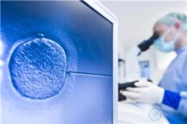 做试管婴儿：什么样的胚胎才可以移植？解码生命起点的“优选密码”