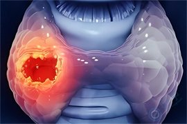 甲状腺：孕育生命的“隐形发动机”！功能失调，做试管婴儿如何破局？