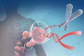 卵巢怕的不是年龄，而是这个被严重低估的“沉默杀手”！教你5步科学反击！
