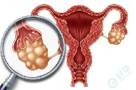 探秘试管婴儿的“生命摇篮”：卵泡形态如何精准预言卵子成熟度？