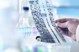 雌激素不足会影响试管婴儿吗？深度解析与科学破局之道